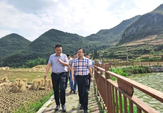 畢節(jié)工業(yè)職業(yè)技術(shù)學(xué)院黨委書記李涌、院長(zhǎng)邱國(guó)援率隊(duì)到鄉(xiāng)村振興駐村聯(lián)系工作點(diǎn)調(diào)研